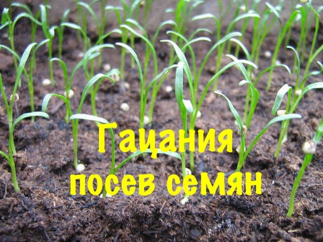 Нажмите, чтобы запустить видео