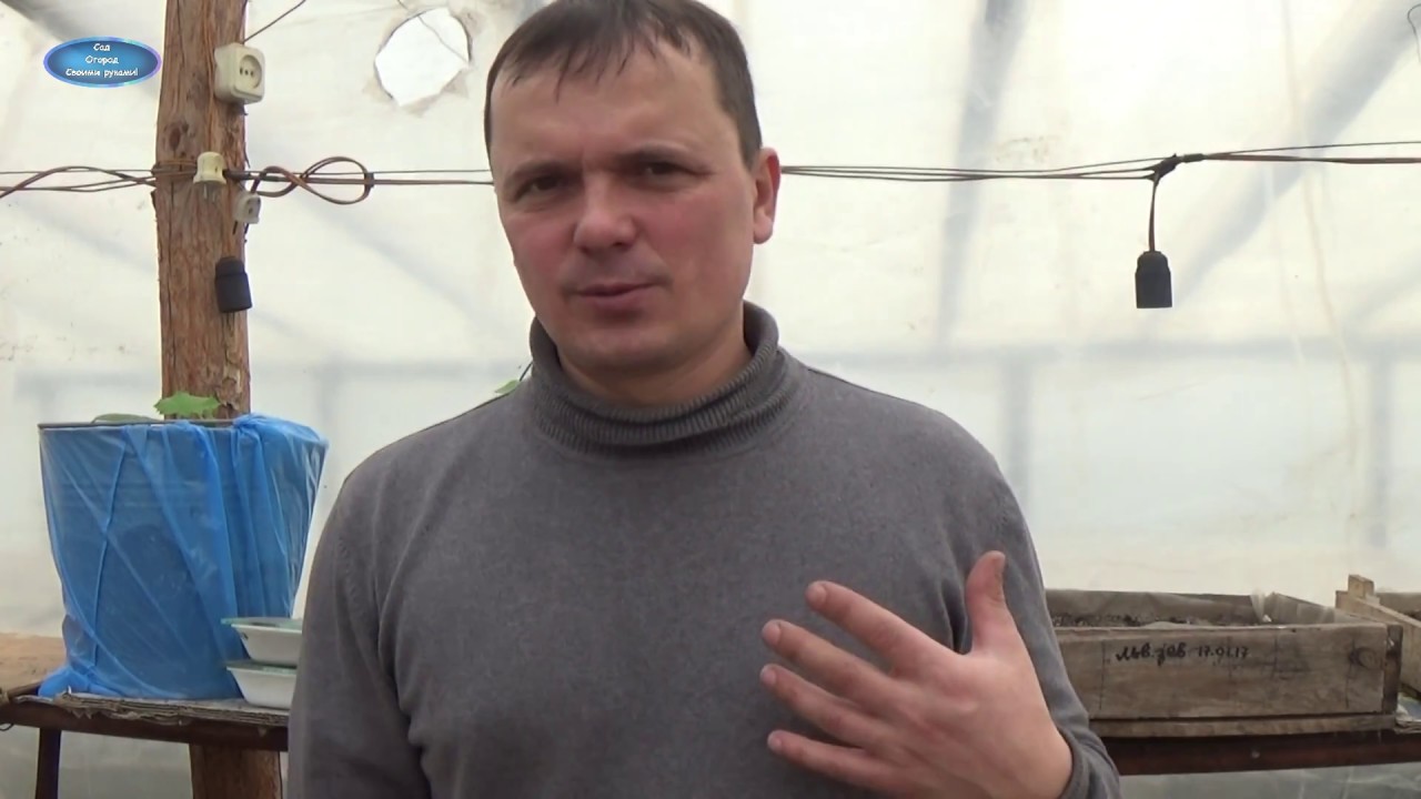 Нажмите, чтобы запустить видео