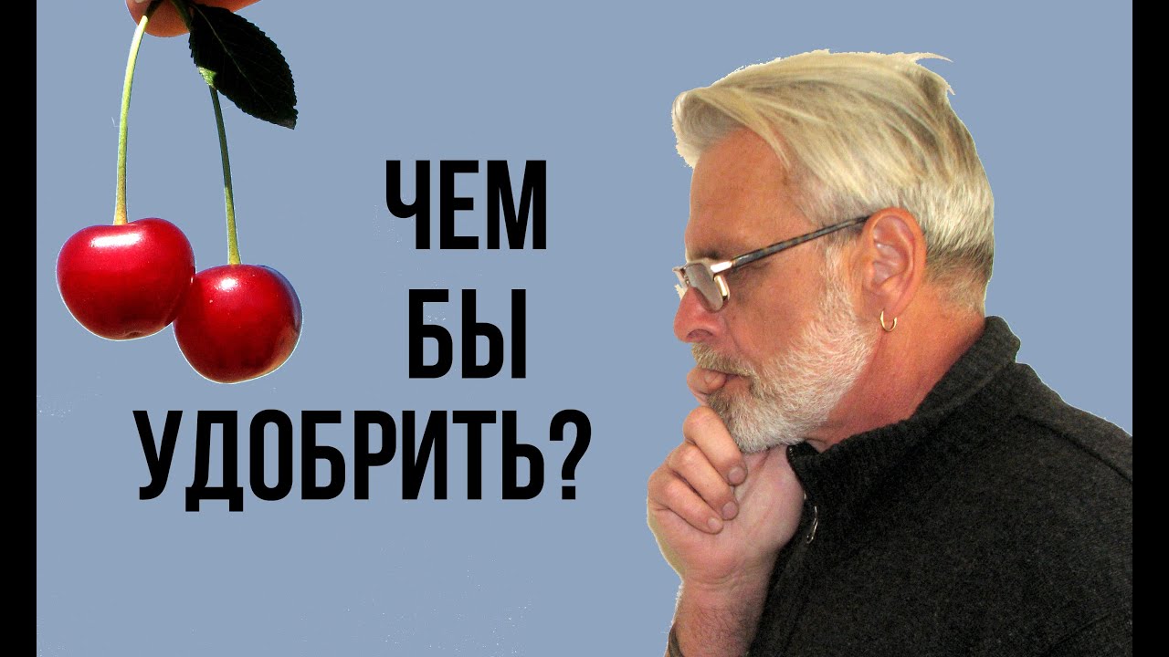 Нажмите, чтобы запустить видео