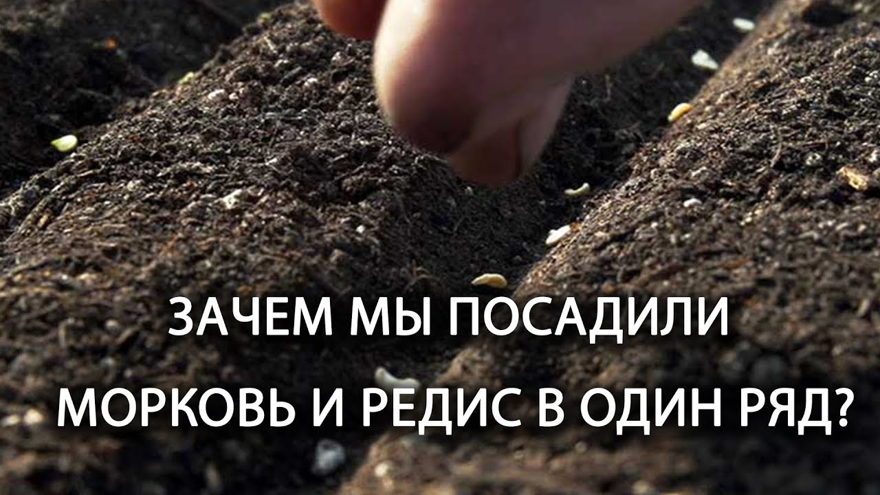 Нажмите, чтобы запустить видео