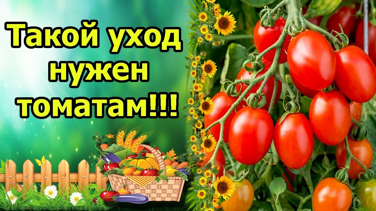 Нажмите, чтобы запустить видео
