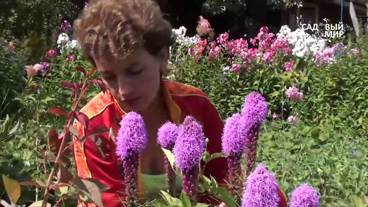 Нажмите, чтобы запустить видео