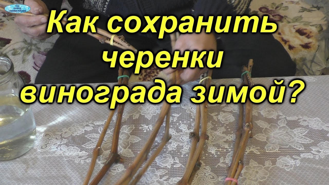 Нажмите, чтобы запустить видео