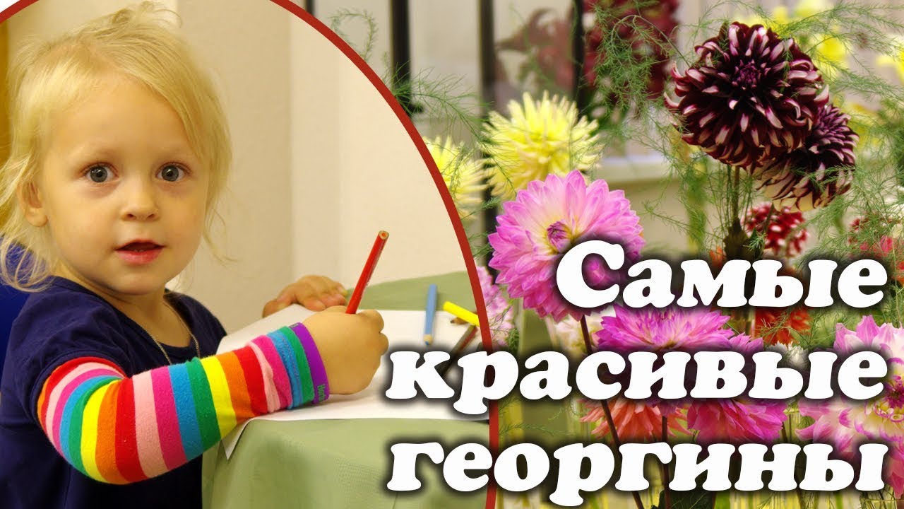 Нажмите, чтобы запустить видео