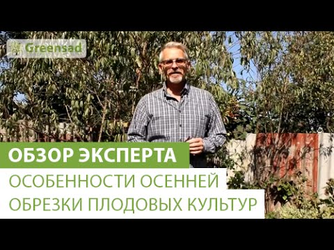 Нажмите, чтобы запустить видео