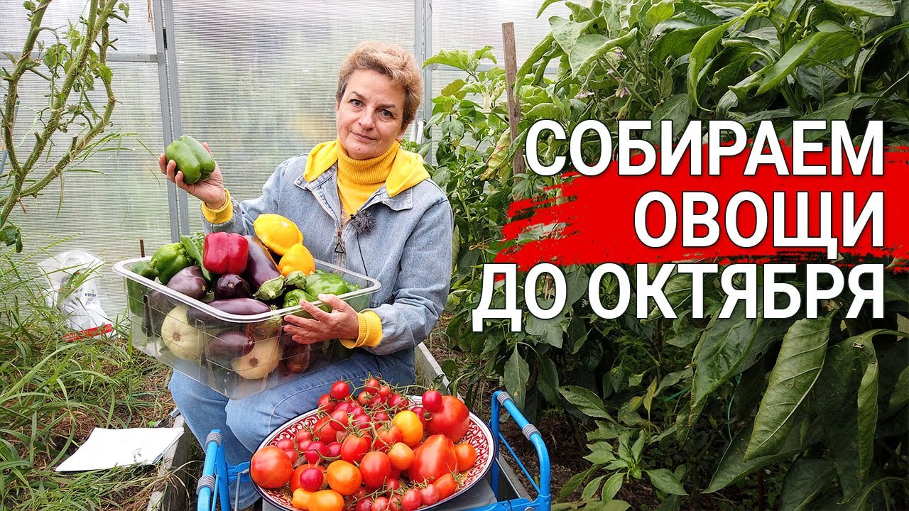 Нажмите, чтобы запустить видео