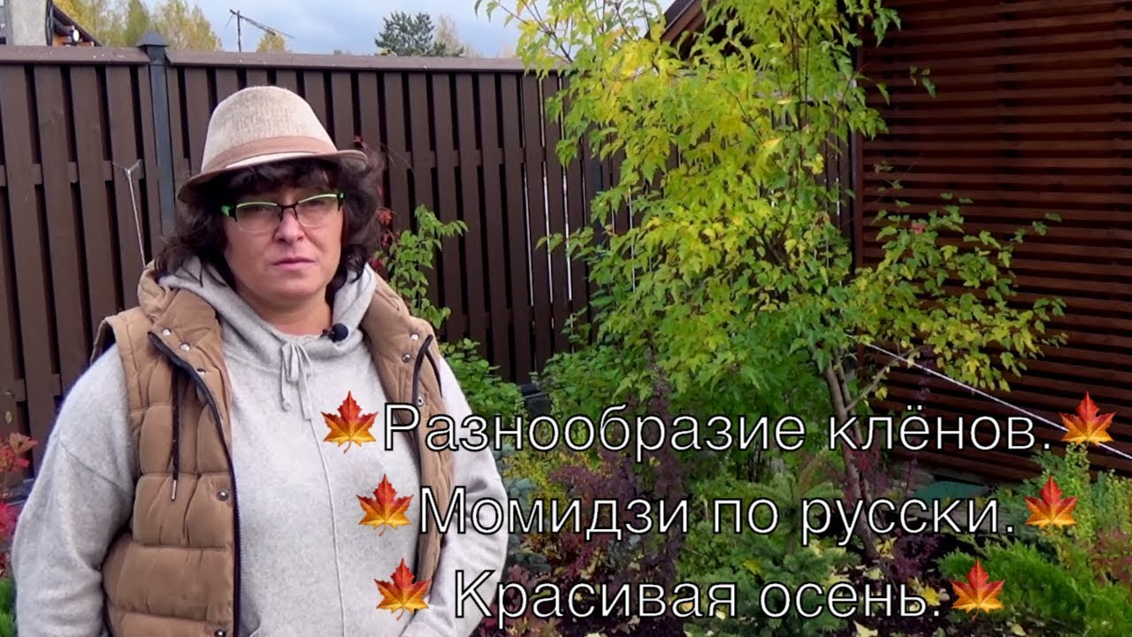Нажмите, чтобы запустить видео
