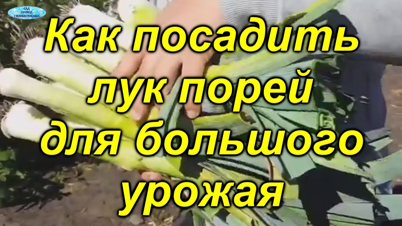 Нажмите, чтобы запустить видео