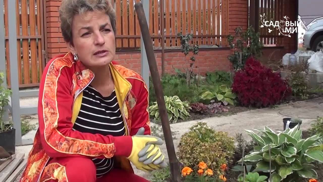 Нажмите, чтобы запустить видео