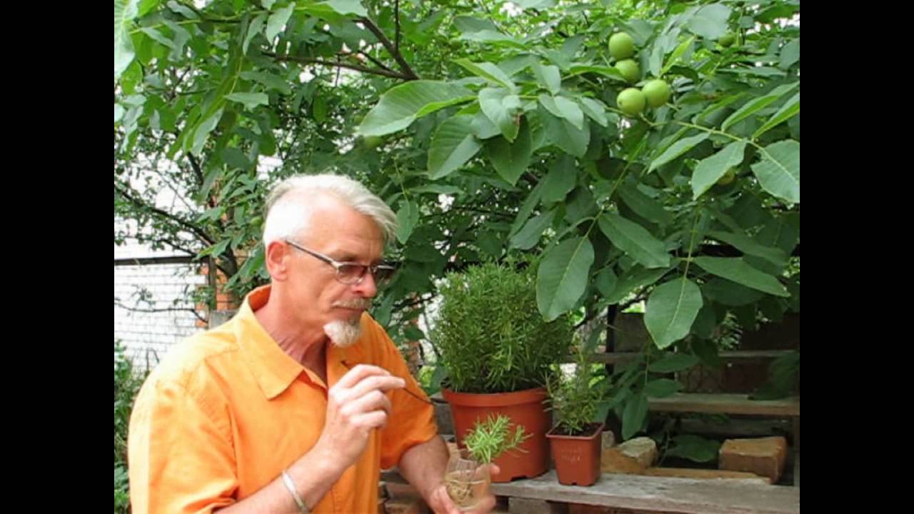 Нажмите, чтобы запустить видео