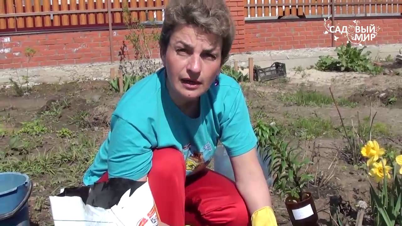 Нажмите, чтобы запустить видео