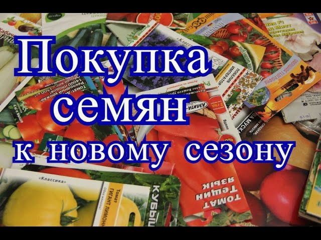 Нажмите, чтобы запустить видео