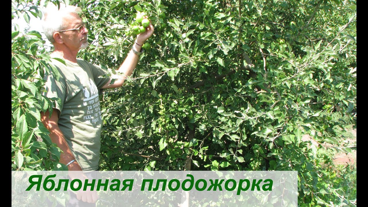 Нажмите, чтобы запустить видео