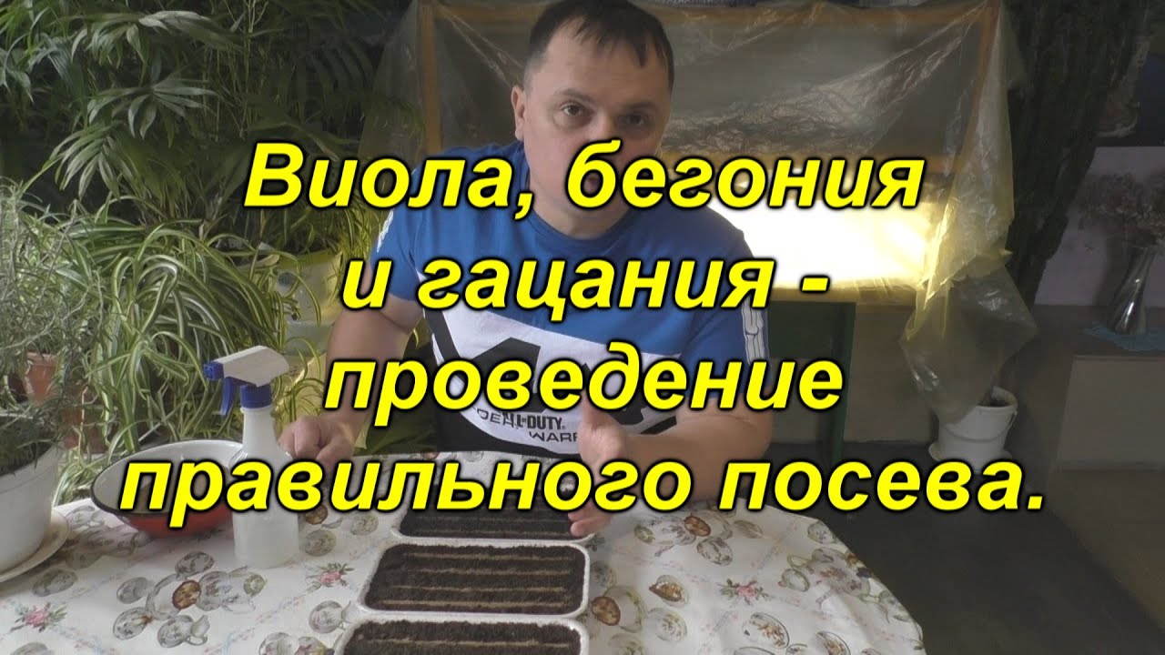 Нажмите, чтобы запустить видео