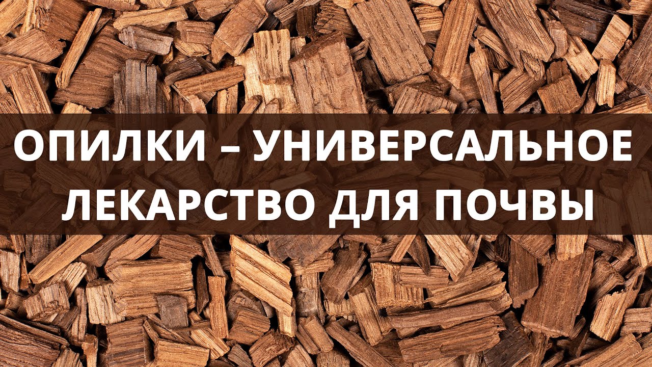 Нажмите, чтобы запустить видео