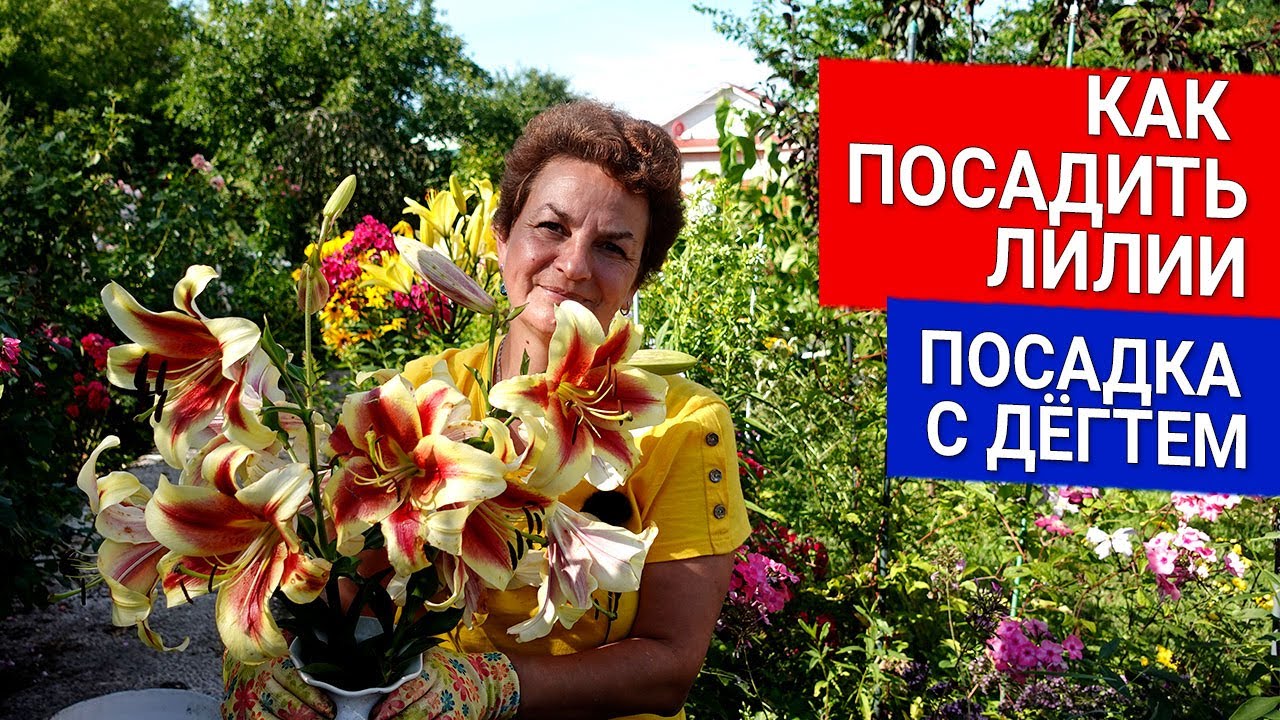 Нажмите, чтобы запустить видео