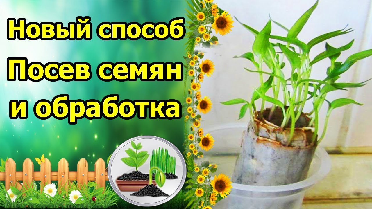 Нажмите, чтобы запустить видео
