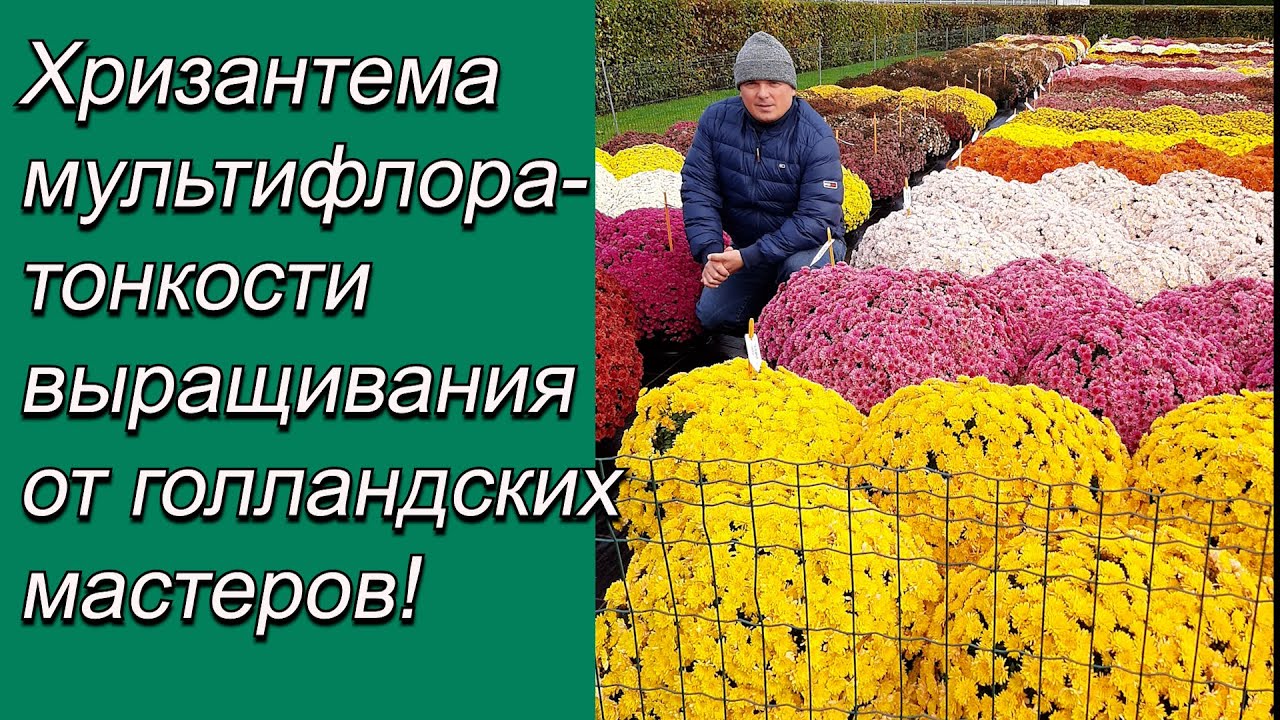 Нажмите, чтобы запустить видео
