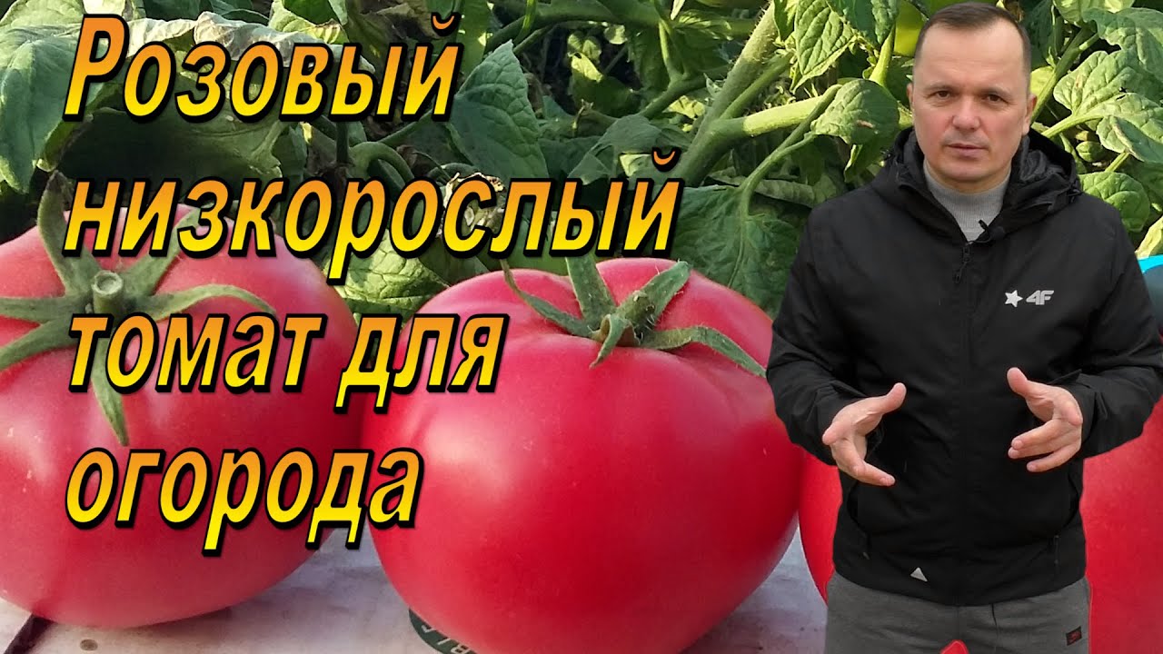 Нажмите, чтобы запустить видео