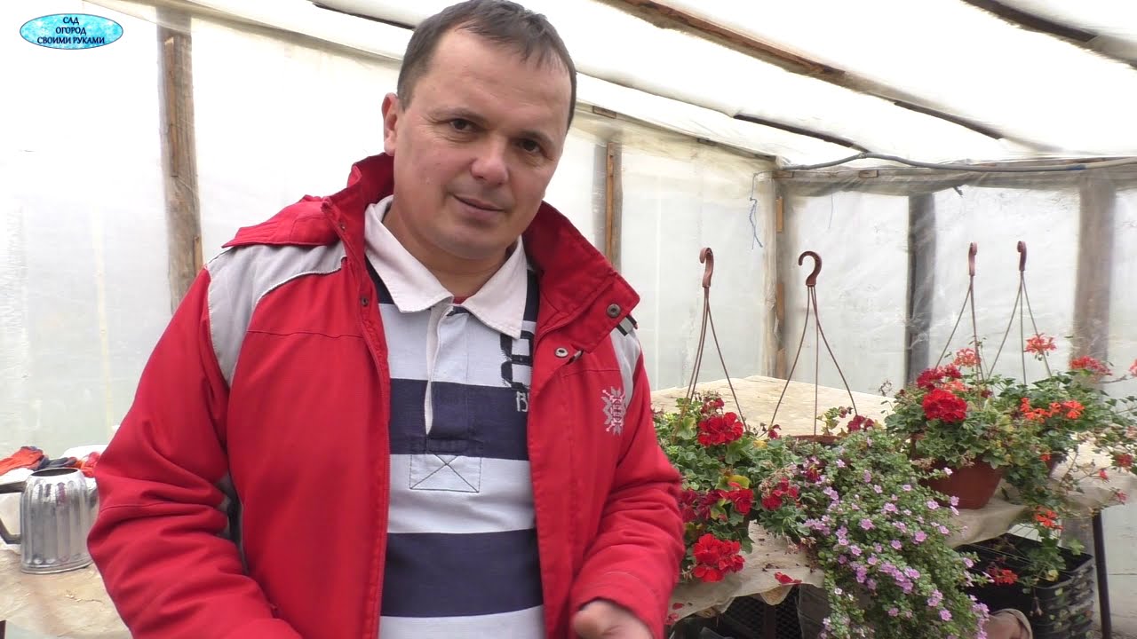 Нажмите, чтобы запустить видео