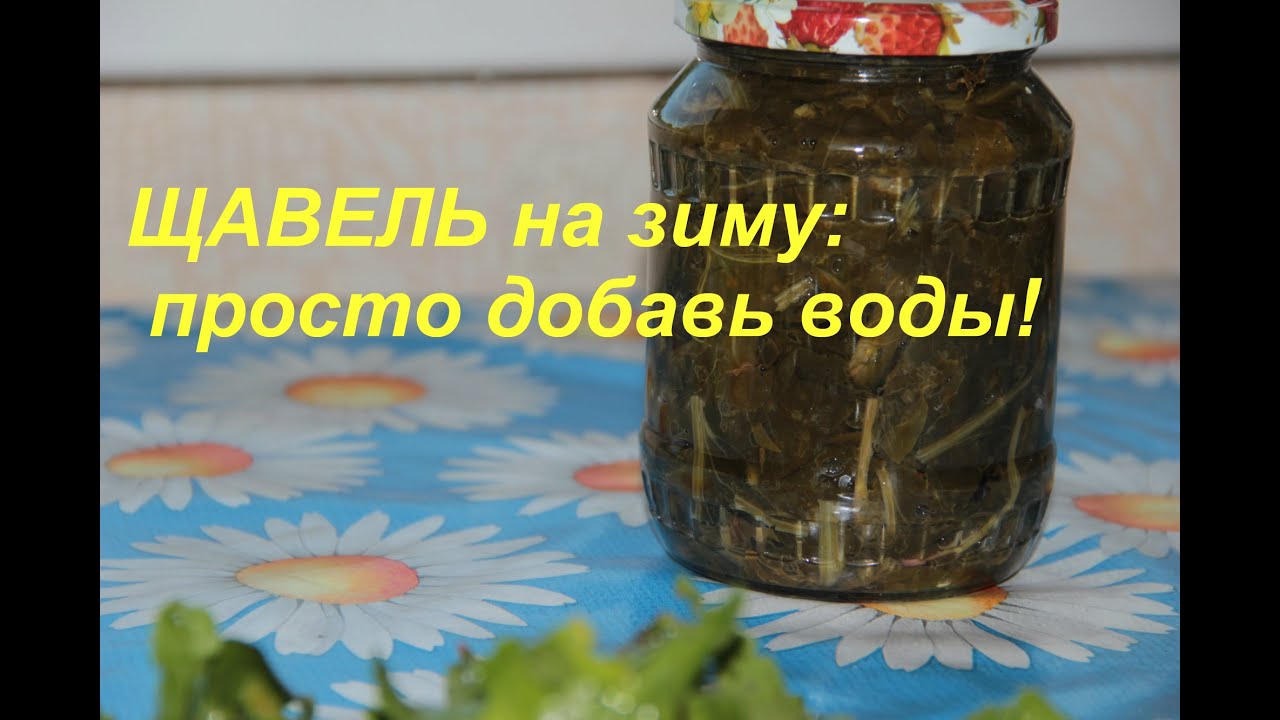 Нажмите, чтобы запустить видео
