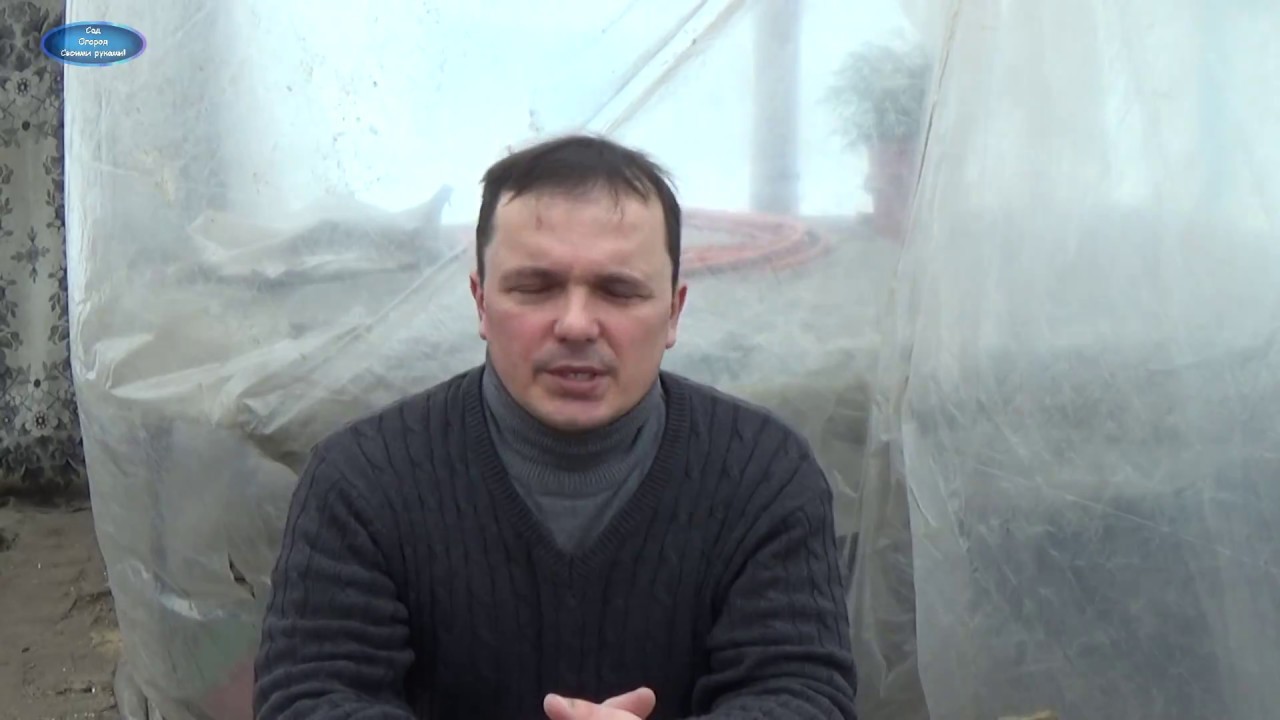 Нажмите, чтобы запустить видео