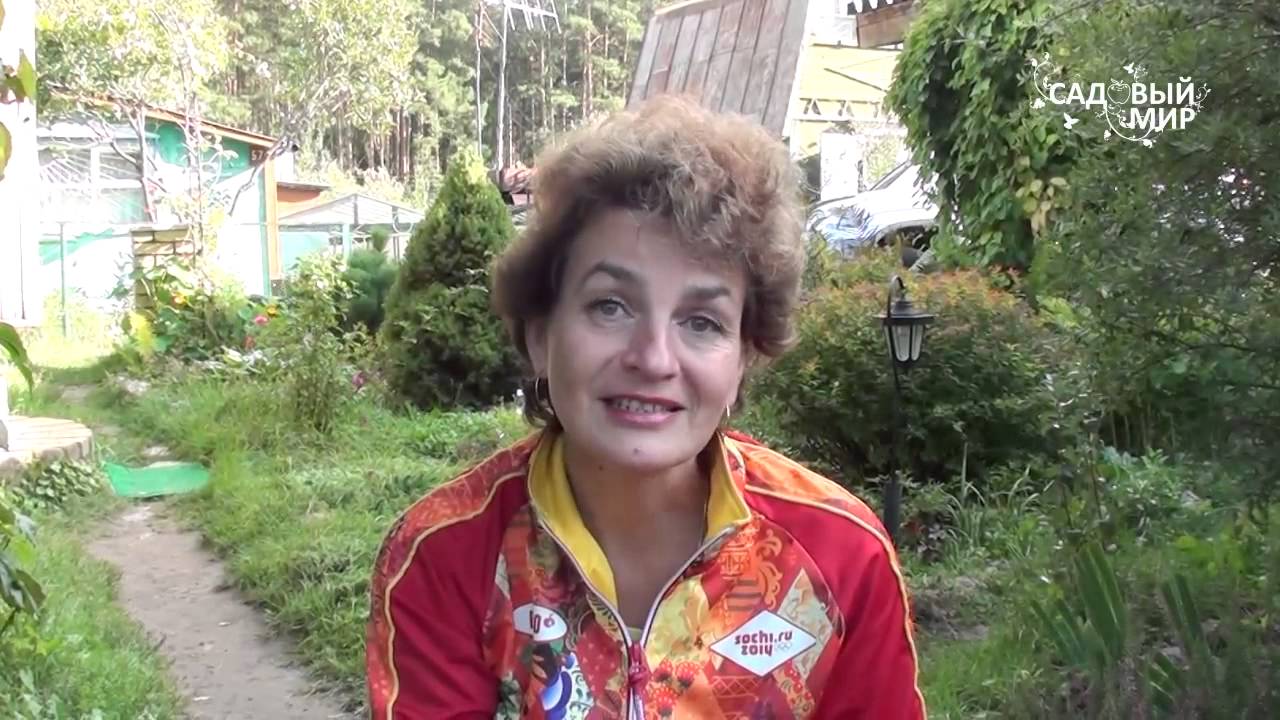 Нажмите, чтобы запустить видео