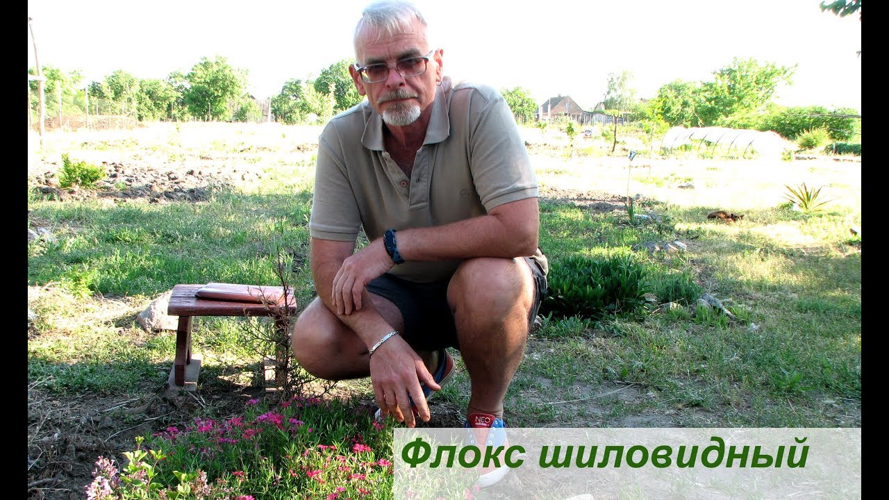 Нажмите, чтобы запустить видео