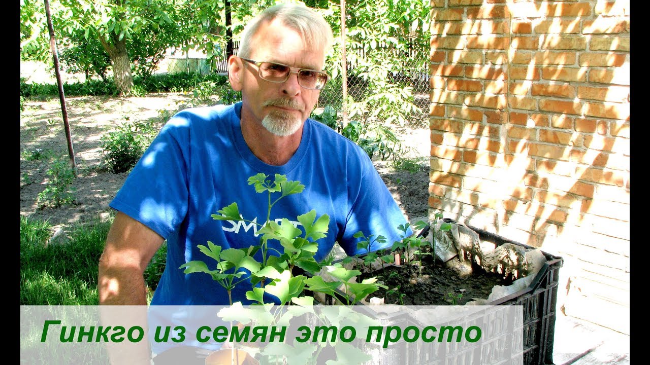 Нажмите, чтобы запустить видео