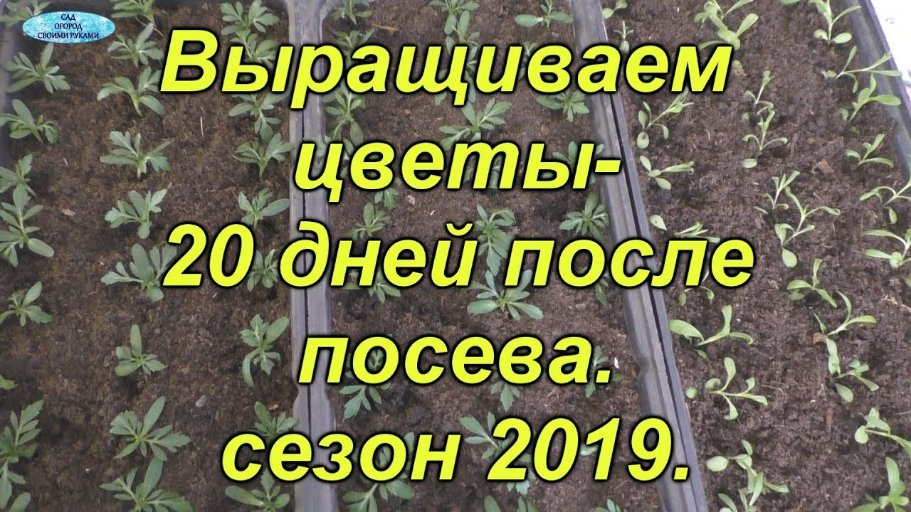 Нажмите, чтобы запустить видео