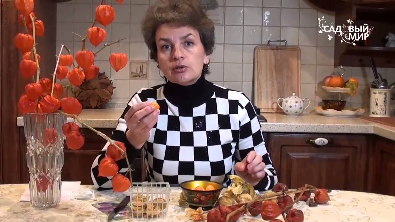 Нажмите, чтобы запустить видео