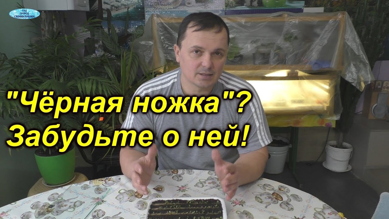 Нажмите, чтобы запустить видео