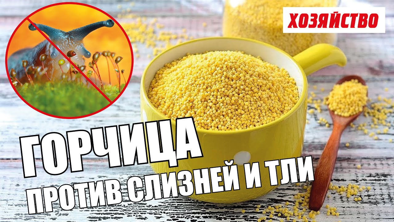 Нажмите, чтобы запустить видео