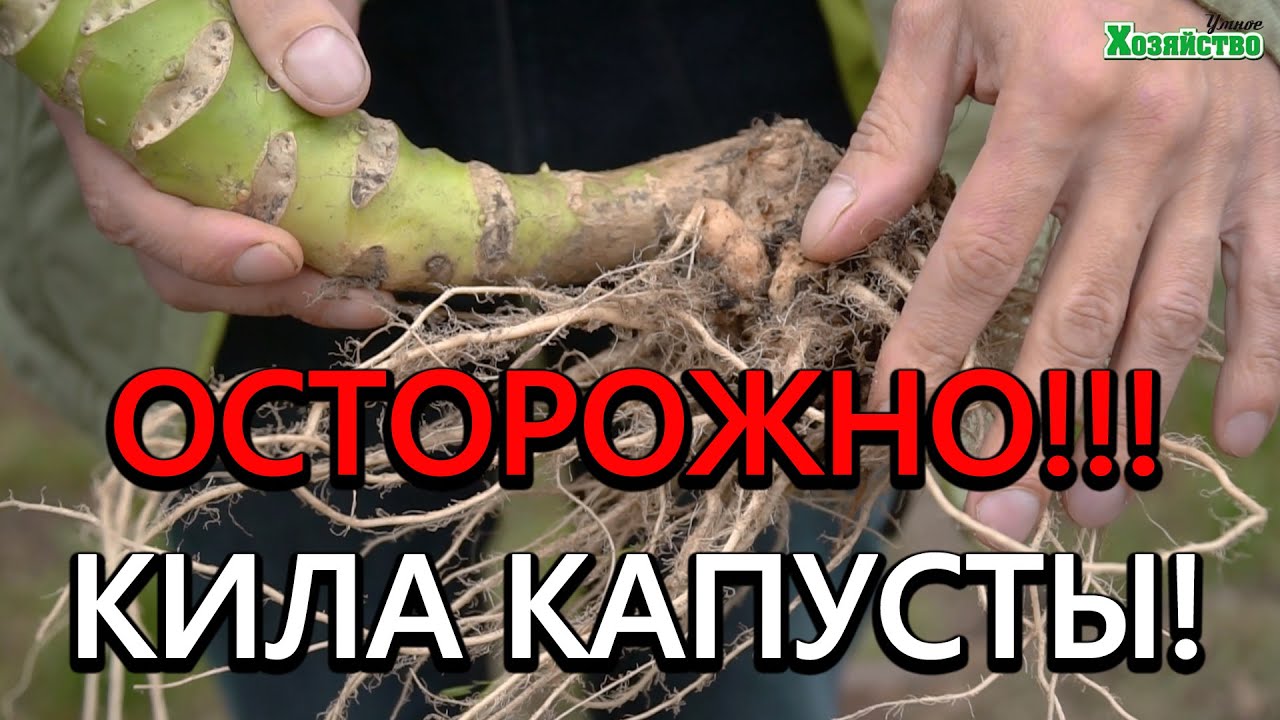 Нажмите, чтобы запустить видео