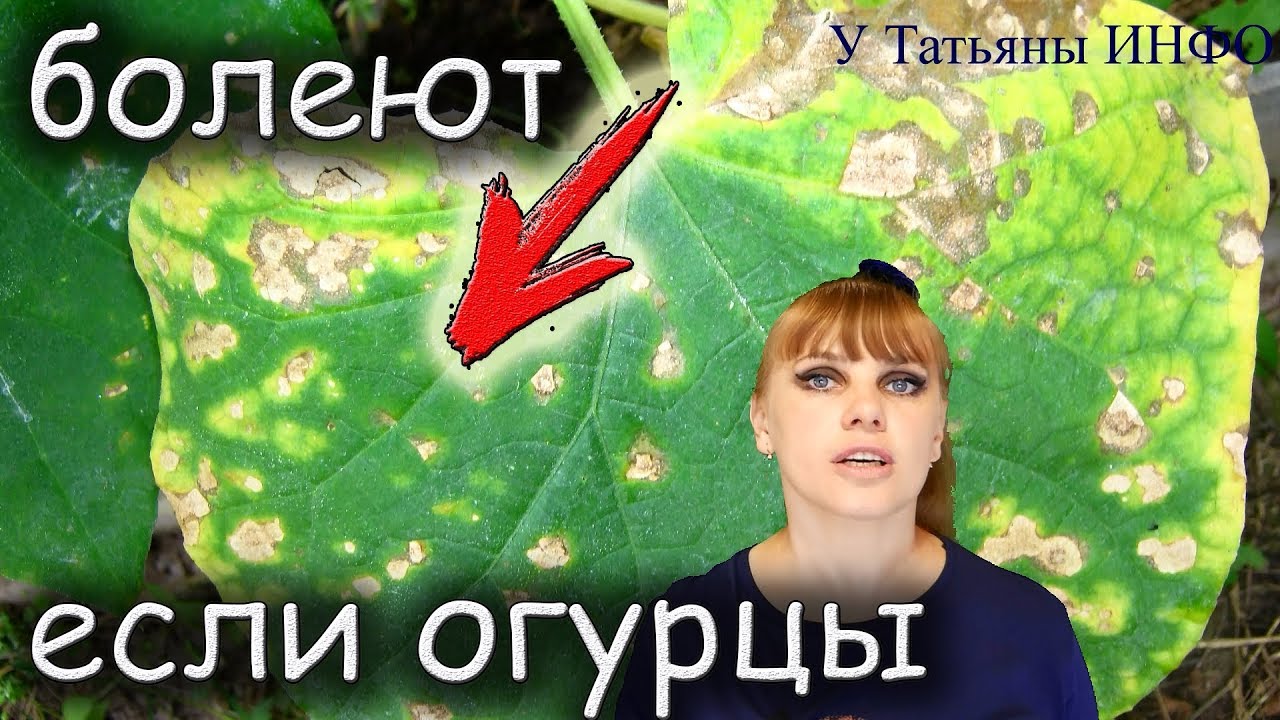 Нажмите, чтобы запустить видео
