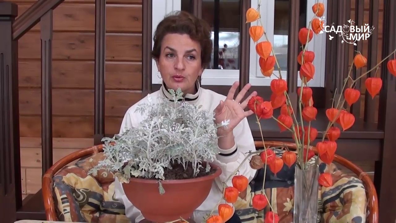 Нажмите, чтобы запустить видео