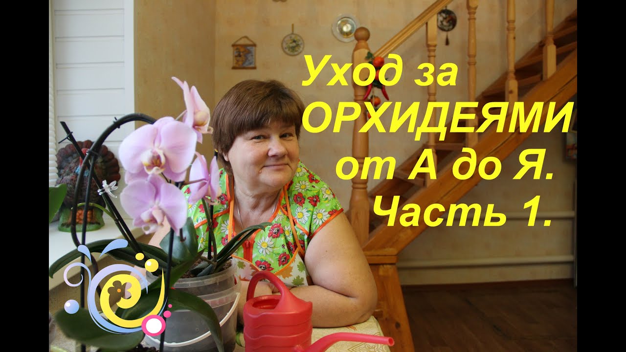 Нажмите, чтобы запустить видео