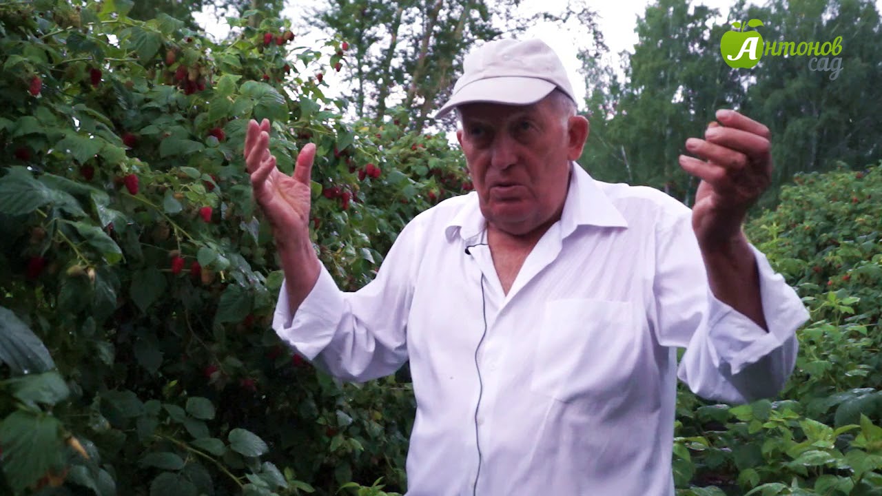 Нажмите, чтобы запустить видео