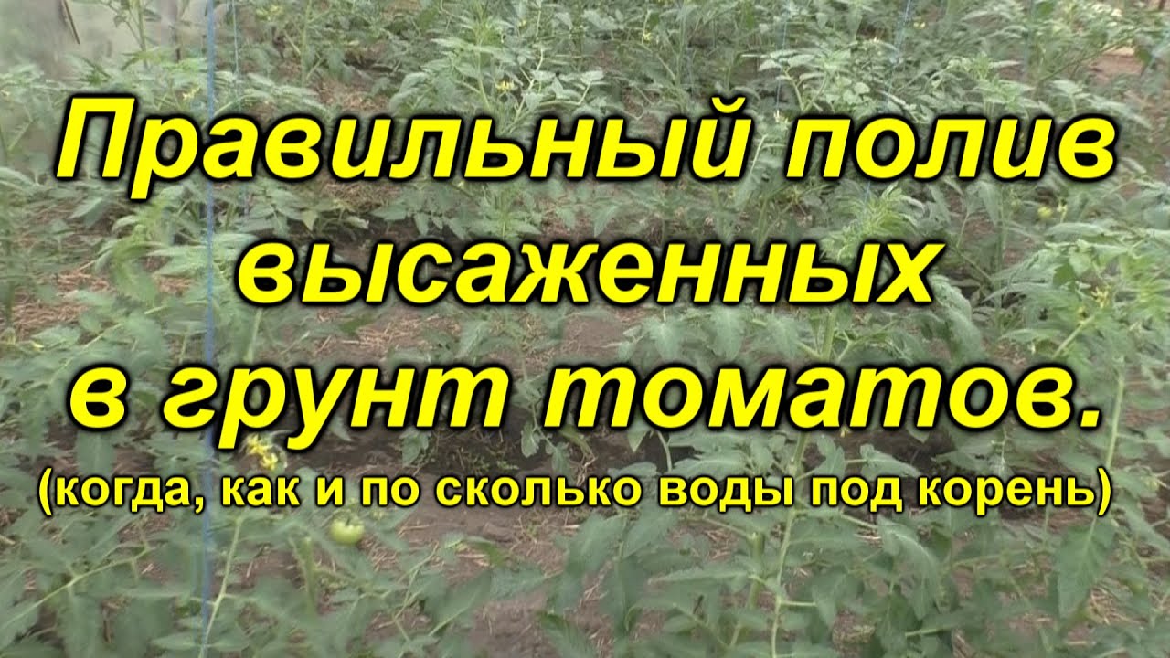 Нажмите, чтобы запустить видео
