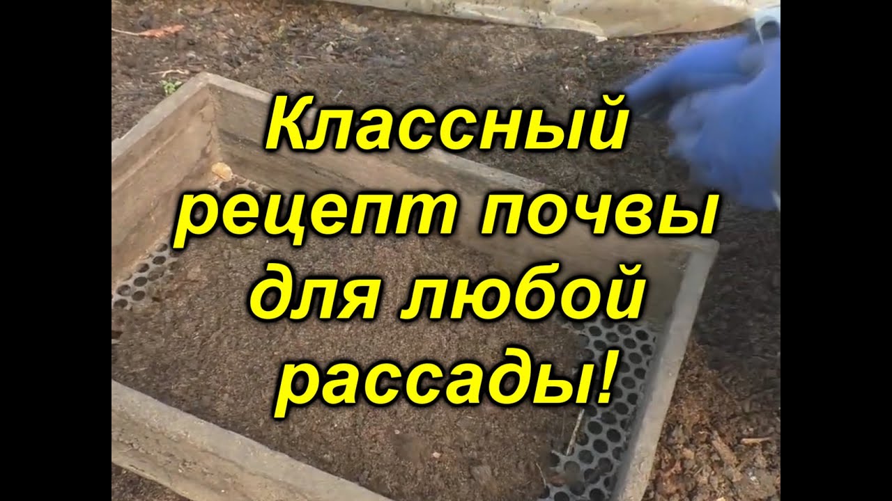 Нажмите, чтобы запустить видео