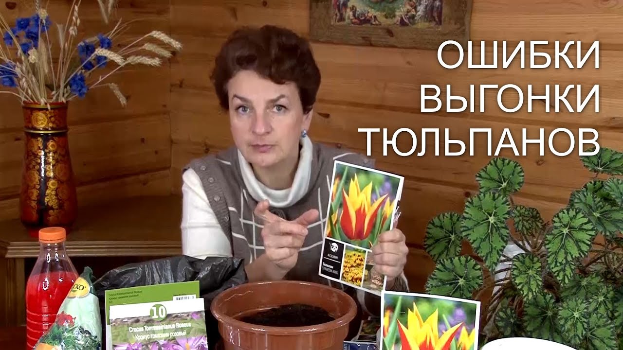 Нажмите, чтобы запустить видео