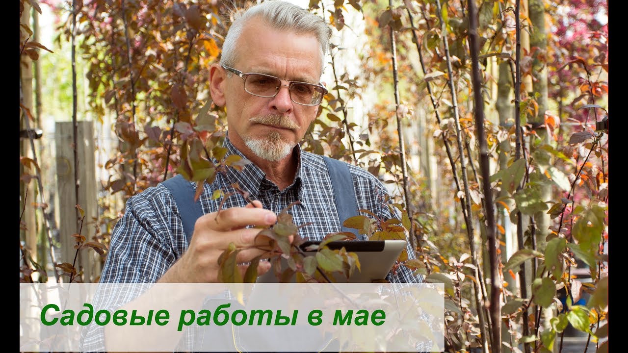 Нажмите, чтобы запустить видео