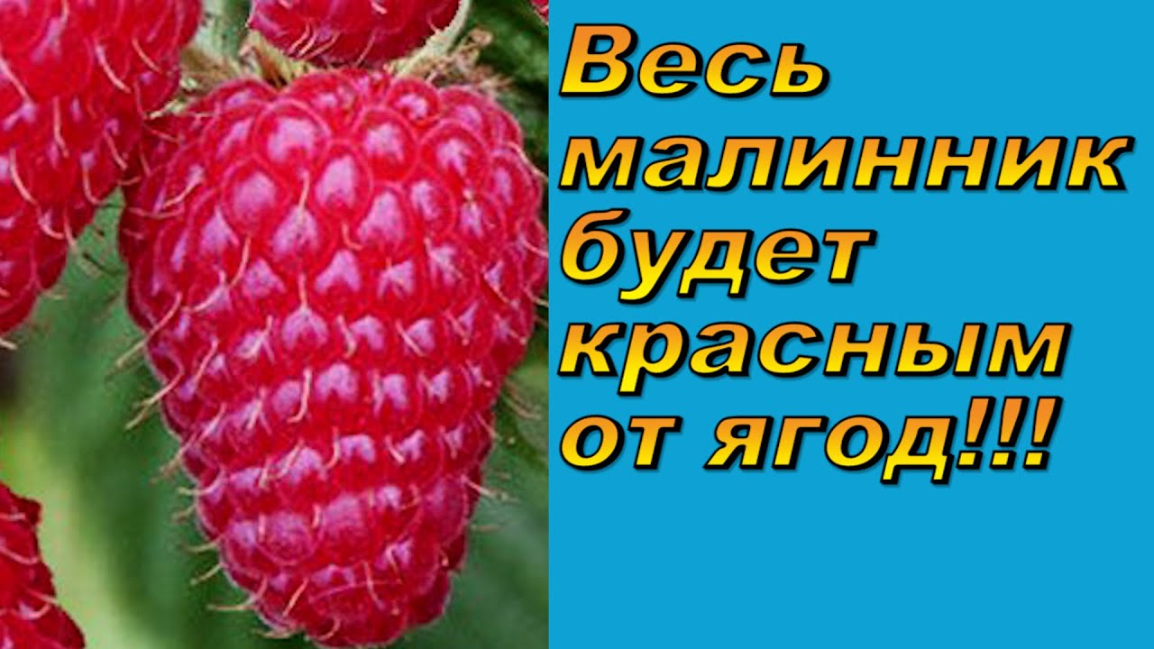 Нажмите, чтобы запустить видео