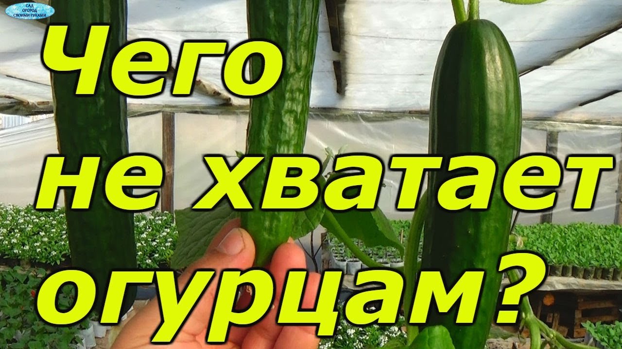 Нажмите, чтобы запустить видео