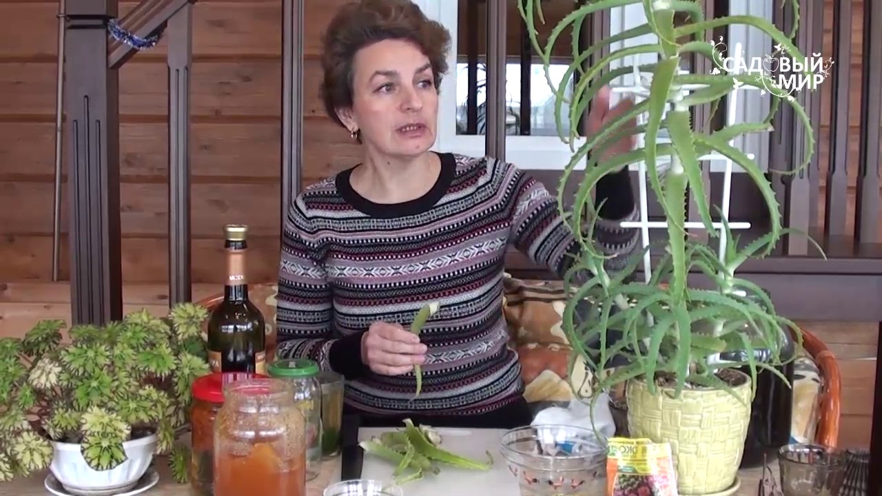 Нажмите, чтобы запустить видео