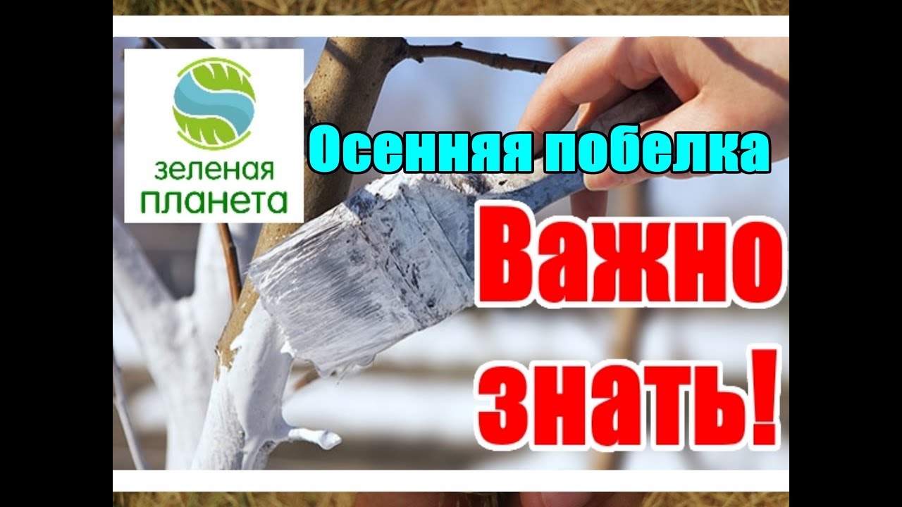 Нажмите, чтобы запустить видео