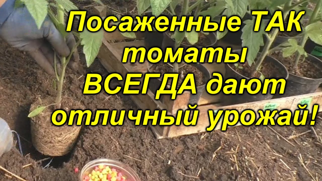 Нажмите, чтобы запустить видео