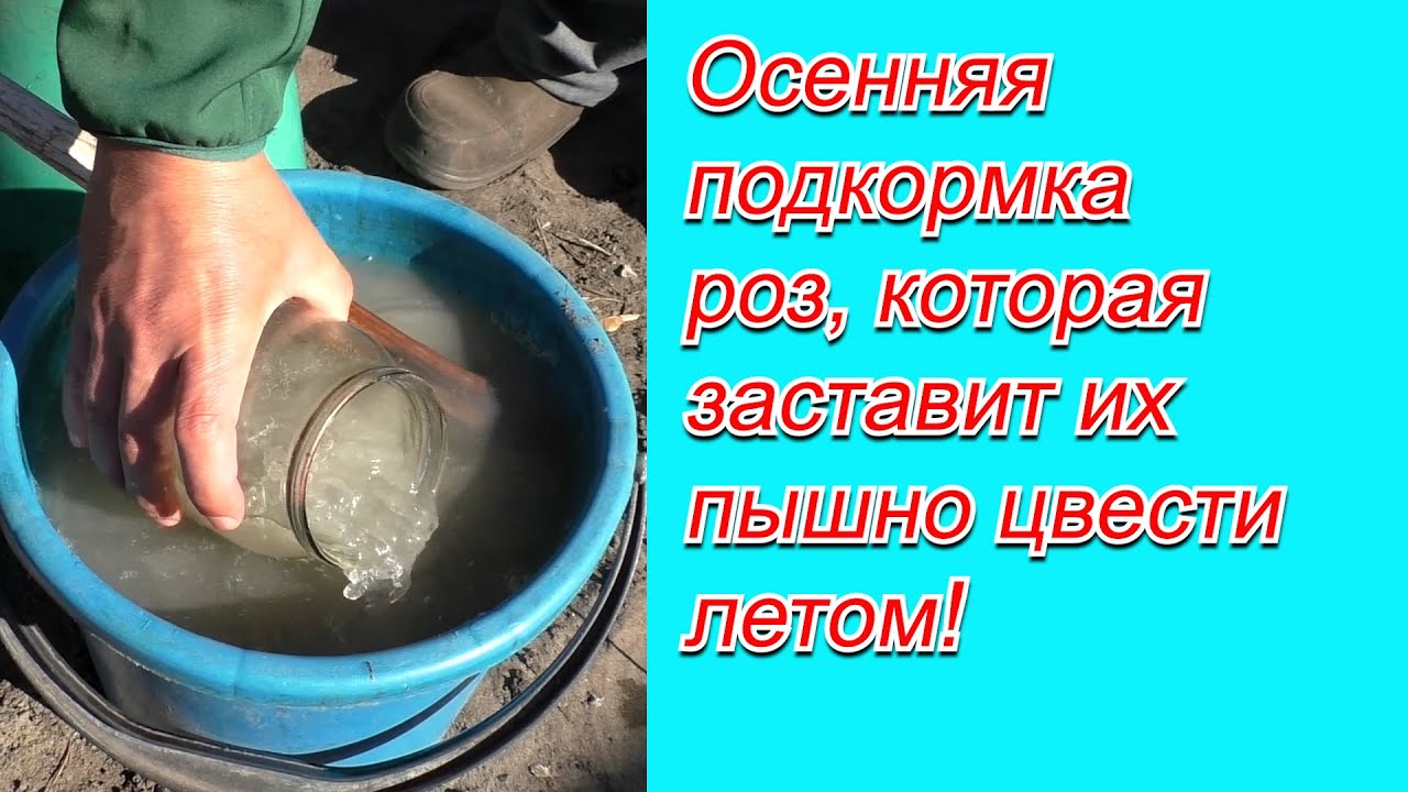 Нажмите, чтобы запустить видео