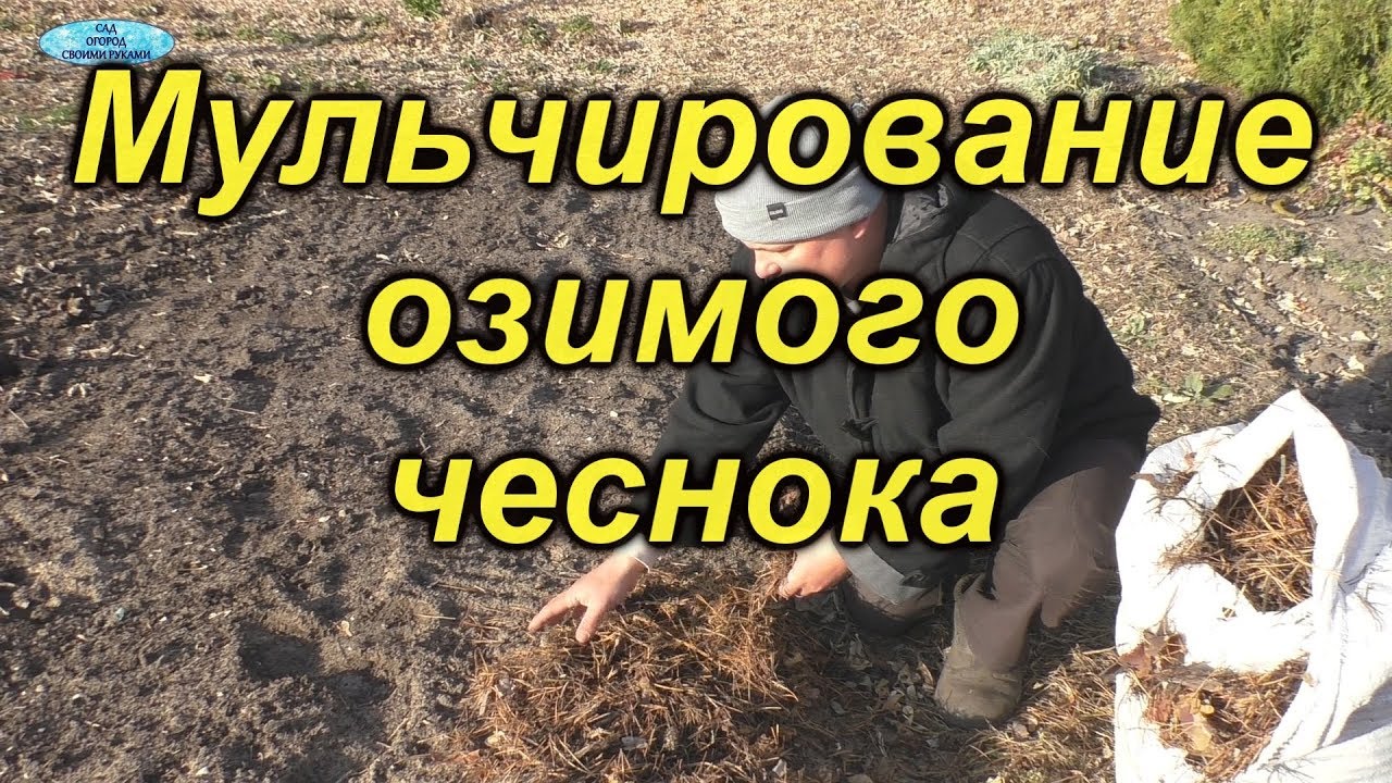 Нажмите, чтобы запустить видео