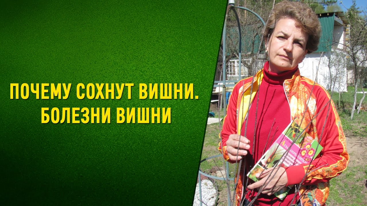 Нажмите, чтобы запустить видео